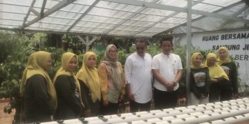 Kisah Inspiratif Kampung Jimpitan Batuceper: Modal Rp500 Sehari Jadi Percontohan Nasional